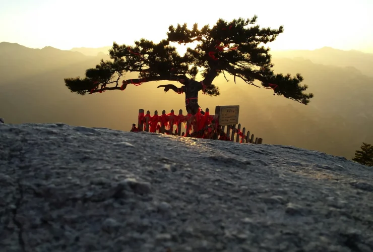 taoism yin yoga teacher training