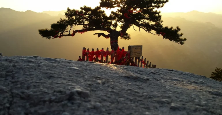 taoism yin yoga teacher training