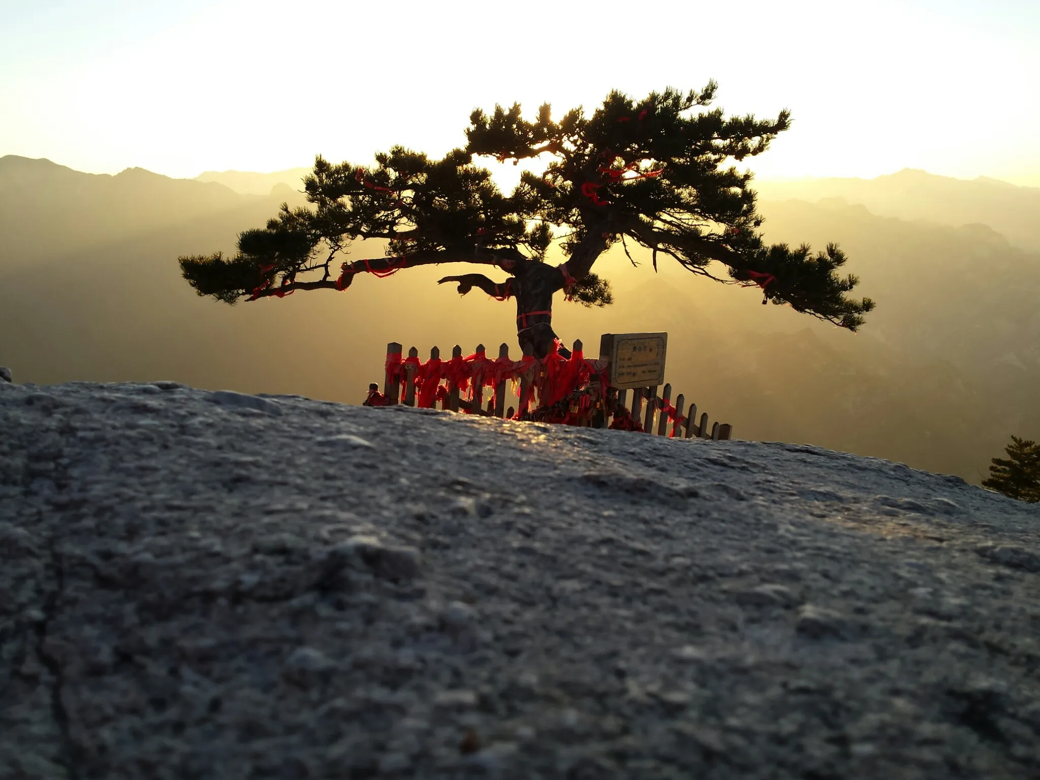 taoism yin yoga teacher training