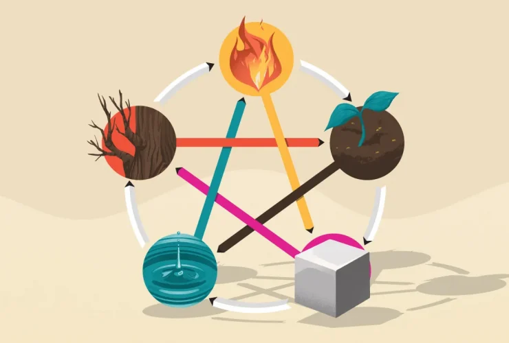 five element yin yoga teacher trainig online